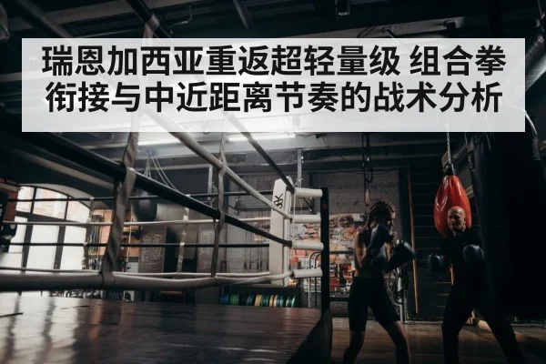 boxer training gym
