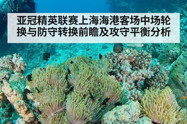 亚冠精英联赛上海海港客场中场轮换与防守转换前瞻及攻守平衡分析